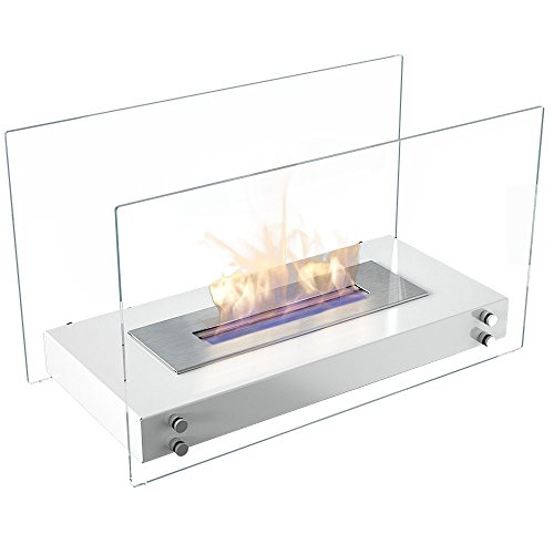 Standkamin Vergleich 2019