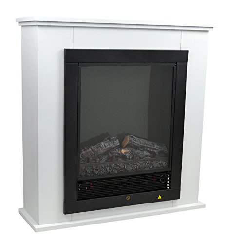 Elektrokamin Vergleich 2019