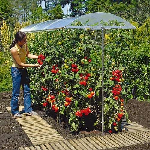 Tomatenhaus Vergleich 2019